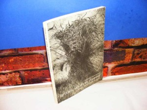 Slavica Stamenković CRTEŽI, AKVARELI, GRAFIKE