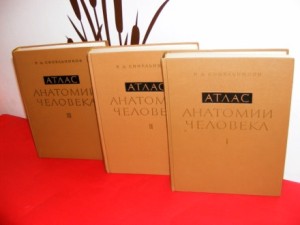 anatomski atlas 1-3 sinelnikov