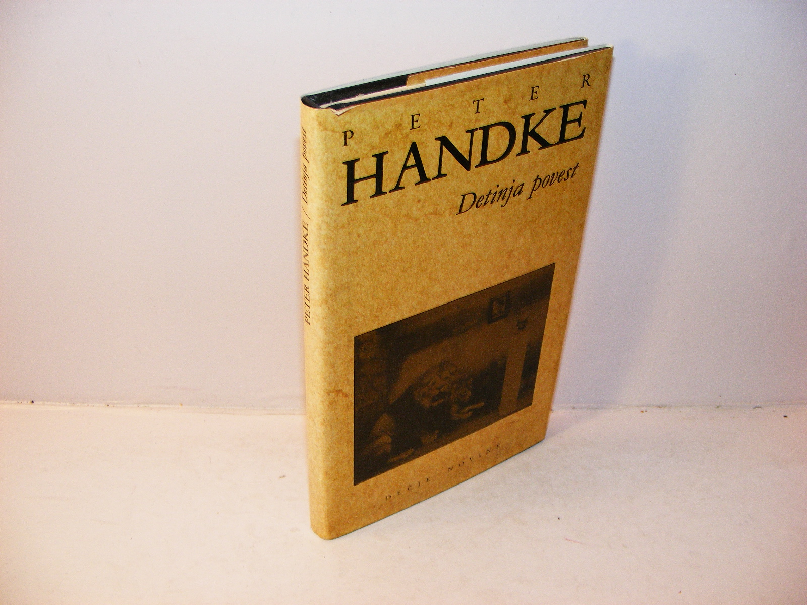 DETINJA POVEST Handke