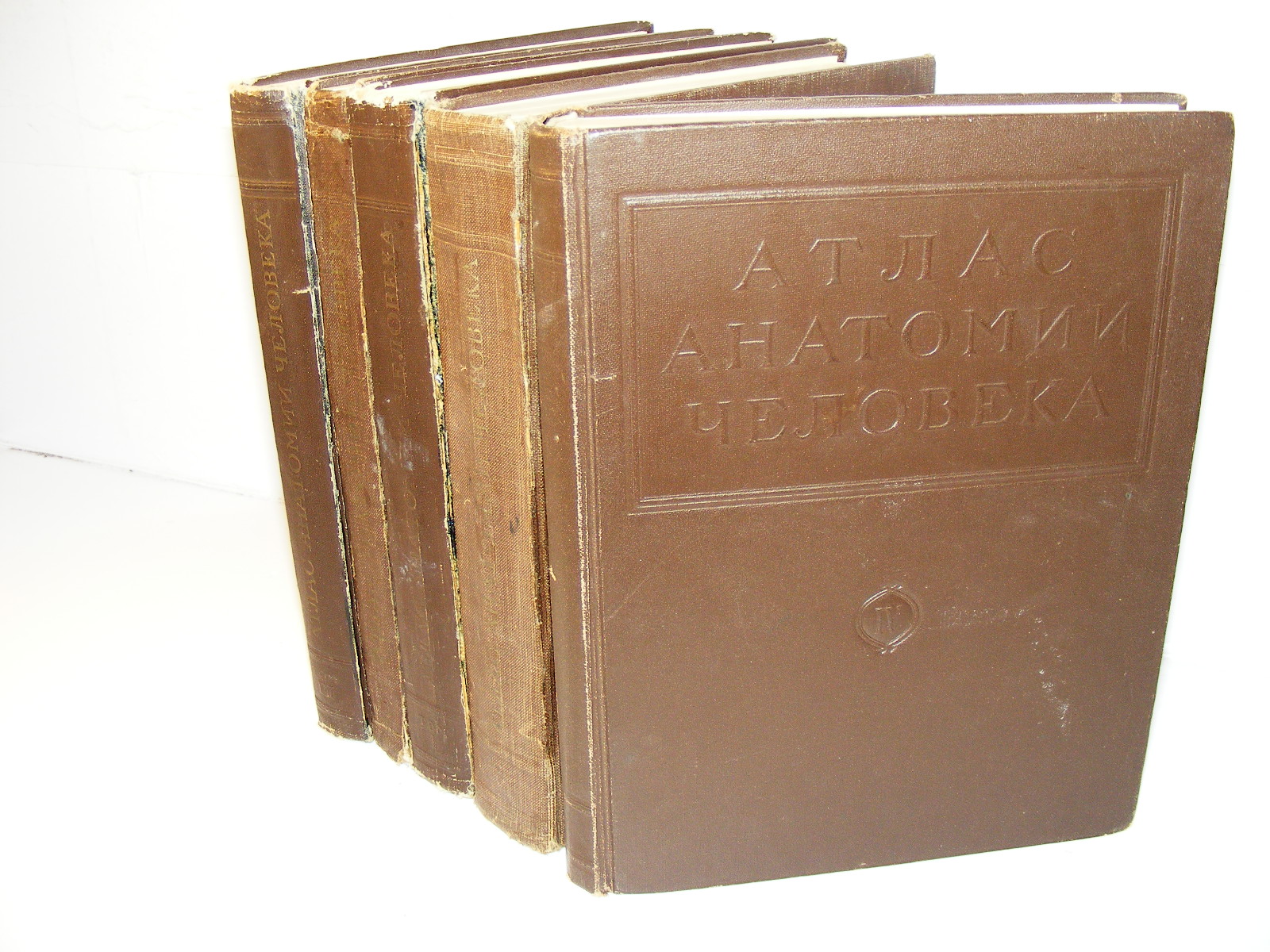 Anatomski atlas čoveka Vorobiev, Sinelnikov 1-5 komplet