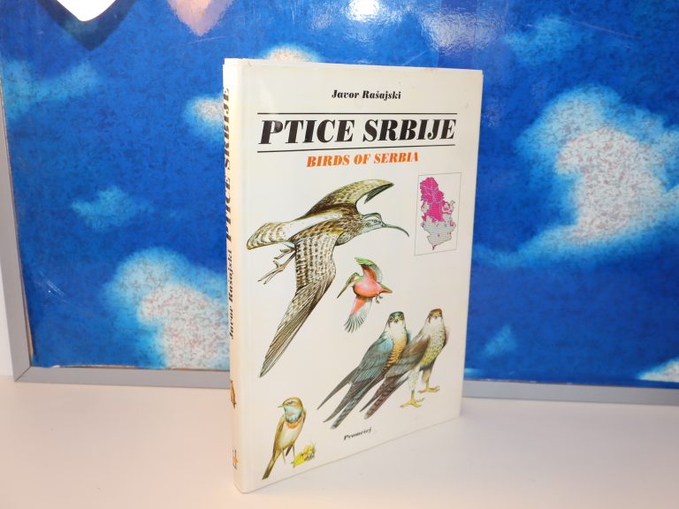 Ptice Srbije Birds of Serbia Javor Rašajski