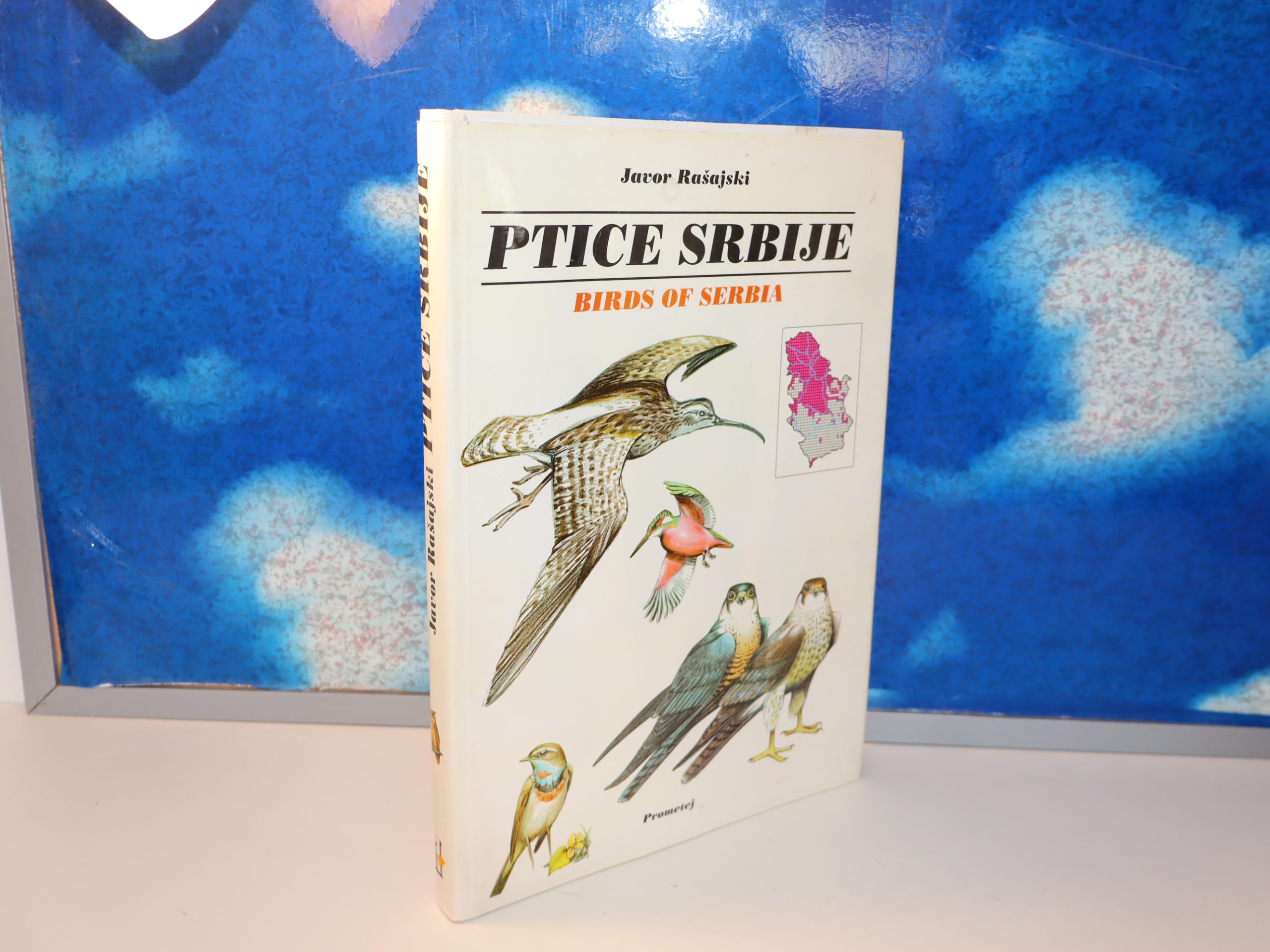 Ptice Srbije Birds of Serbia Javor Rašajski